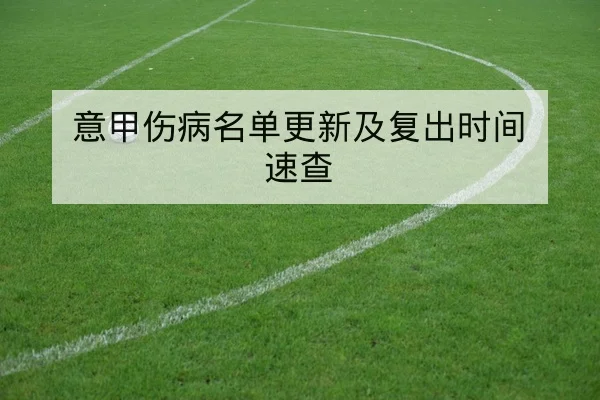 网球巨星伤病名单与复出赛程影响速查