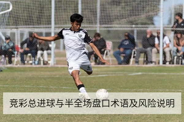 竞彩总进球与半全场盘口术语及风险说明